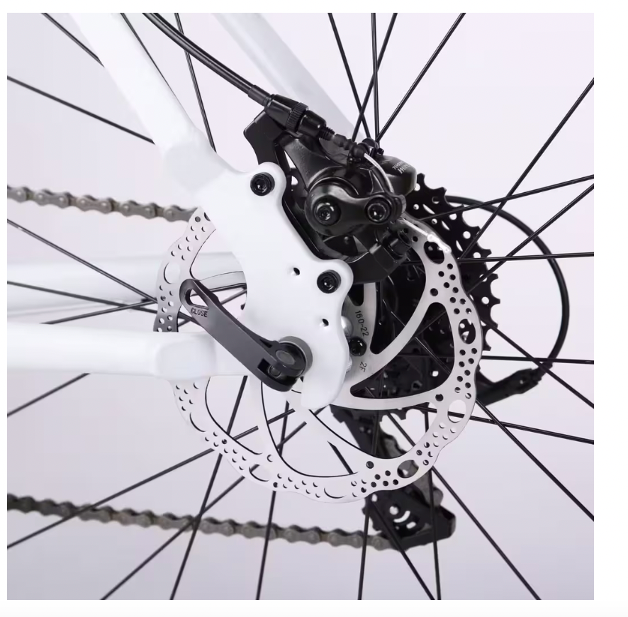 Xe đạp đường trường phanh đĩa 120-06101727-CB1